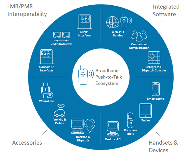 Ecosystem infographic